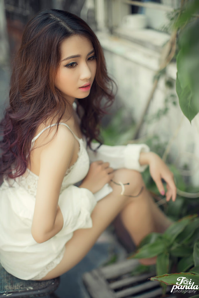 小蜜蜂美国版